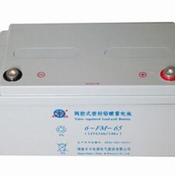 豐日蓄電池12v65AH參數(shù)尺寸