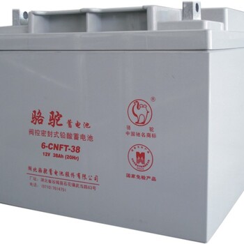 駱駝蓄電池6-CNFT12-38規(guī)格型號、尺寸