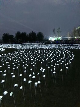 LED灯光节制作出售厂家梦幻灯灯光展出售灯光展出租