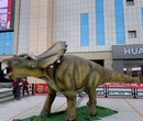 侏罗纪大型生态恐龙展出租租赁恐龙文化科普展布置出租出售图片