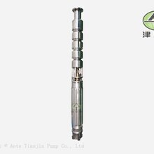 大连东栩科技发展竞博国际合作项目的QH系列海水消防潜水泵图片
