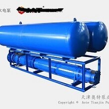 大流量浮筒式潜水泵图片