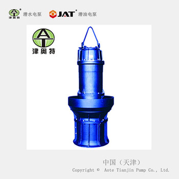 15000方大排量下吸式轴流泵