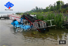 割草船重物打捞水上挖掘机水库清漂船船舶环保图片5