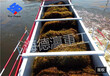 割草船重物打捞水上挖掘机水库清漂船船舶环保