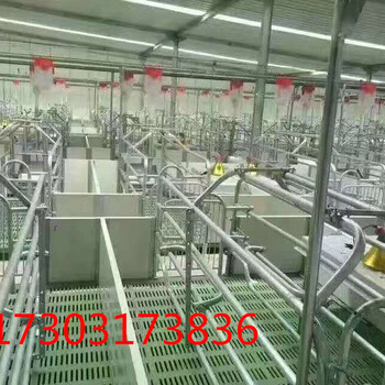 厂家猪哈哈生产养猪自动料线机