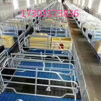 福宇养猪设备厂家保育箱