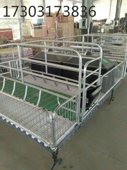 母猪产床定位栏限位栏带钢板食槽料线料塔自动化养猪设备