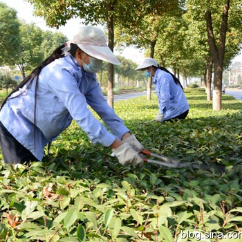 2019年考园林绿化工程师证在辽源市哪里快速报名考取