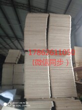 宁津昌泽专业建筑模板高质量耐磨防水