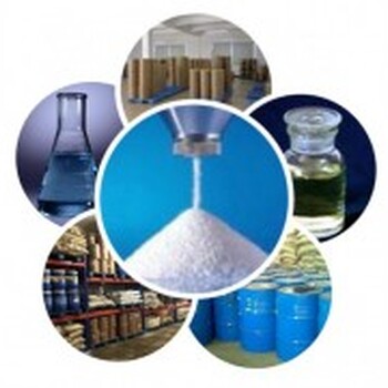 厂家供应2,5-二甲氧基苯胺价格优惠现货品质认证