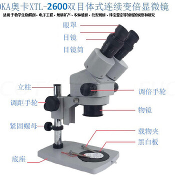 连续变倍显微镜XTL-2600，体视显微镜,奥卡显微镜