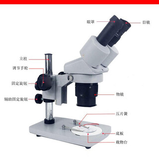 原装奥卡双目体视显微镜XTJ4400，两档变倍显微镜图片5