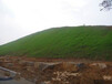 公路两侧绿化边坡绿化施工武夷山客土喷播机