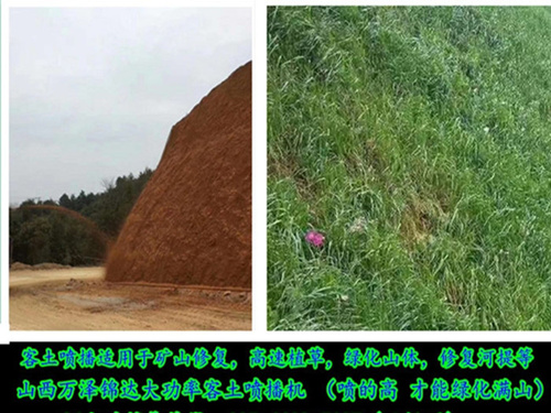 矿山修复垃圾覆盖滁州绿化种草机