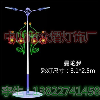 燈光節(jié)亮化水母造型廠家生產(chǎn)