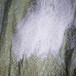 厂家供应轻质抹灰石膏骨料石膏砂桨用50-70-90目玻化微珠