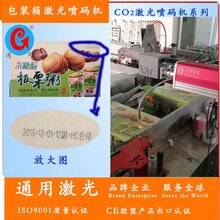 沂水食品包装激光打码机食品生产线激光喷码设备----通用激光图片