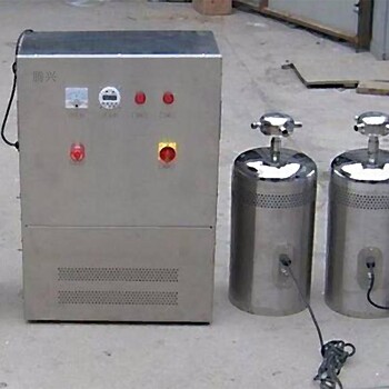 2W水箱臭氧发生器外置式水处理臭氧杀菌消毒设备价格