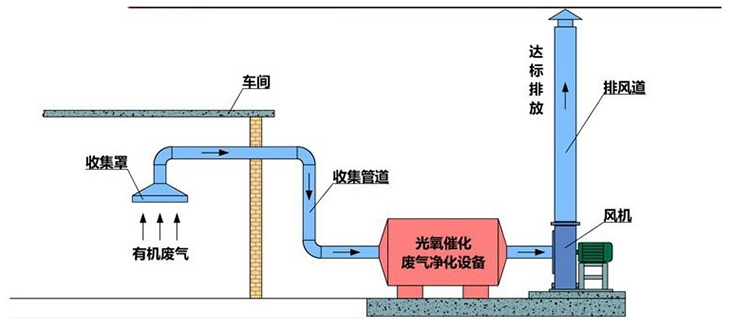 清大-环保的头像