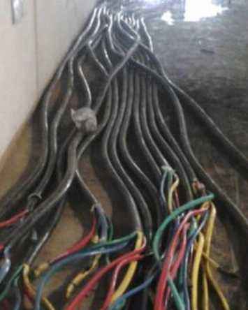 卢湾回收二手电缆-公司价格高