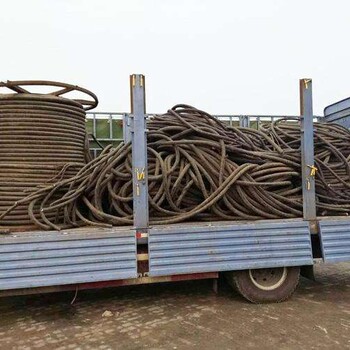 新昌电线电缆回收回收正规商家