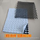 熱銷優(yōu)質(zhì)三維復(fù)合排水網(wǎng)來鳳1200g復(fù)合排水網(wǎng)