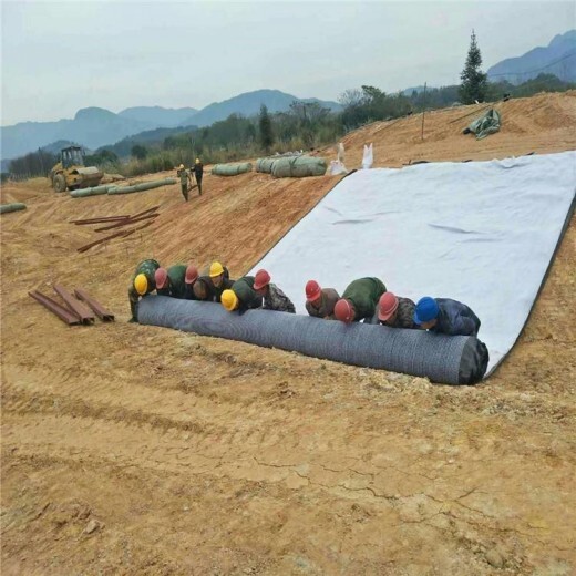 厂家生产防水毯，1.4米规格报价辰溪县