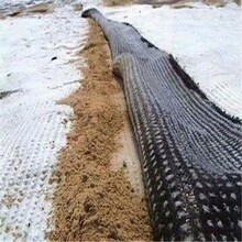防水毯用途-德州土工材料有限公司圖片