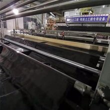 山东1.2mm厚度hdpe土工膜厂家优惠大酬宾图片
