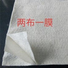 安阳复合土工膜货源充足图片