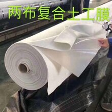 安徽复合土工膜质保二十年图片