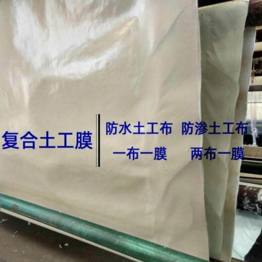 两布一膜土工膜、(在线咨询)、北京土工膜