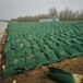 西藏护坡生态袋_海湖滨岸_生产装沙装土编织袋