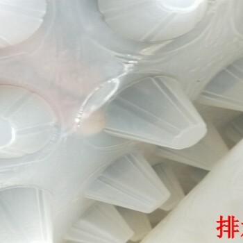 定制高樓排水排水板蓄排水板樓頂花園塑料排水板