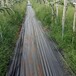 宜黄县防草布盖草布园林地布除草布厂家,园艺地布