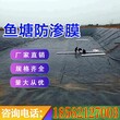 供应新疆土工膜防渗膜防渗膜水产养殖膜图片