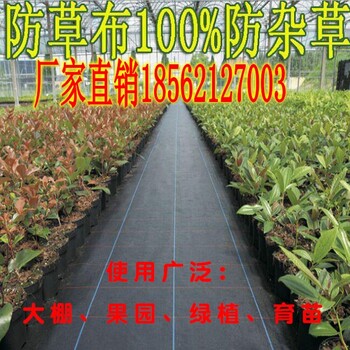 交城縣_防草布格_果園防草布德州賣