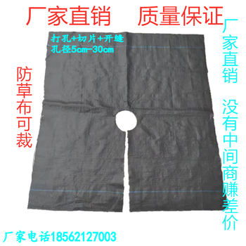 海南農(nóng)用打孔多孔蓋草布、果園遮草布批