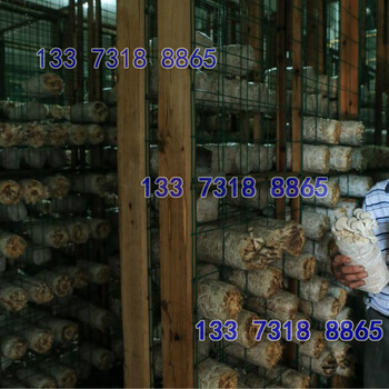 蘑菇网格网片金属铁丝网格网架浸塑养殖蘑菇网片