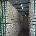 蘑菇养殖网片蘑菇片双边丝养殖金属网片