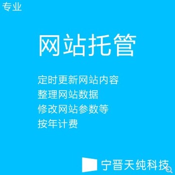 宁晋网络公司网站建设SEO优化宁晋建网站宁晋天纯科技