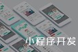 宁晋天纯科技小程序开发微信小程序定制