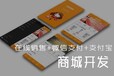 供应宁晋天纯科技微信应用开发小程序定制宁晋网络公司