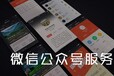 宁晋天纯科技网站建设APP开发宁晋网络公司