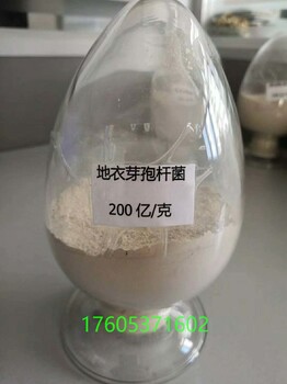 地衣是厭氧菌嗎