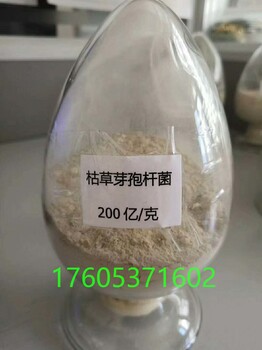 小知識，希望可以幫到大家枯草注意事項