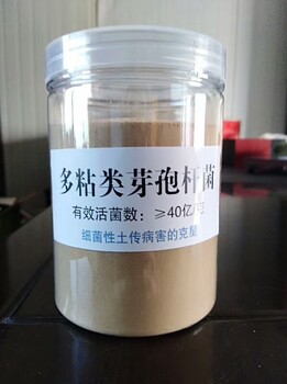 多粘类芽孢杆菌的用量用法