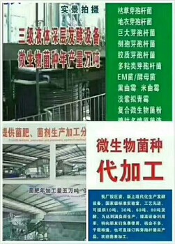 枯草怎么保存與使用方法