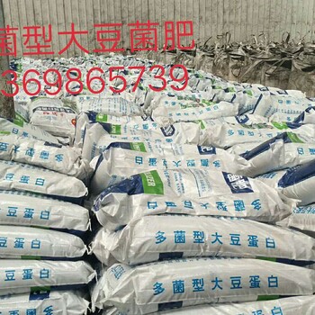 豆粕微生物菌肥